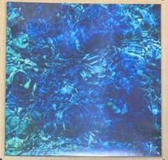 Luminescent Creatures 初回限定 デラックス盤 青葉市子 - メルカリ