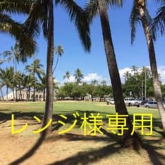 専用ですのサムネイル