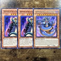 遊戯王 英語版 北米版 毒蛇神ヴェノミナーガ コレクターズレア 美品 遊戯王 毒蛇神ヴェノミナーガ 毒蛇王ヴェノミノン 英語版 3枚 A15