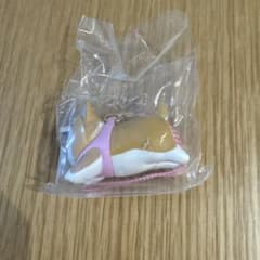 もっちりフライングわんこストラップ コーギーのサムネイル