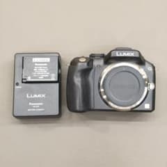 美品LUMIX DMC-G5 ショット数1195枚 ミラーレス一眼 本体 充電器