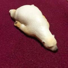 シロクマとミニトートのサムネイル