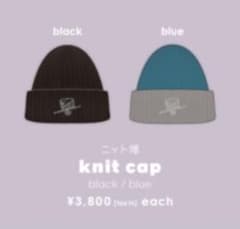 Eve 2022Eveの日 グッズ ニットキャップ blackのサムネイル