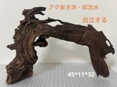 HX-102 流木 マシンガンウッド ホーンウッド アクアリウム ブランチ