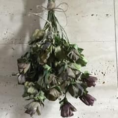 m53280296172_1.jpg?1712632717