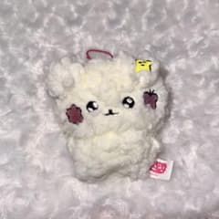 チェゴシム お守りカード付きマスコット トレカケース
