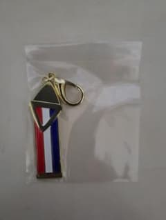 にじさんじ fantasia 三枝明那 メタルチャームのサムネイル