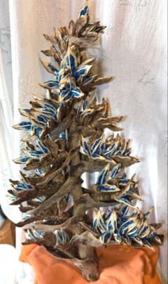 126 旅人の木 13房 今季物 宮古島産 - メルカリ