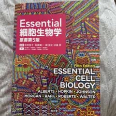 Essential細胞生物学 原書第5版 南江堂 エッセンシャル細胞生物学