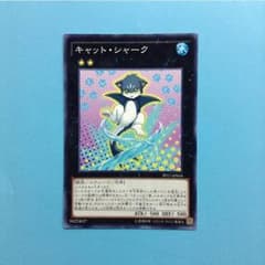 キャットシャークのサムネイル