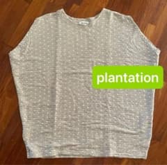 Plantation 水玉　ジャガード　半袖 プルオーバー　グレー Tシャツ M Plantation 水玉 ジャガード 半袖 プルオーバー グレー Tシャツ M