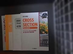 長文攻略！CROSS SECTION Standardのサムネイル