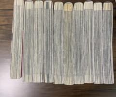 その着せ替え人形は恋をする 1-10巻セットのサムネイル