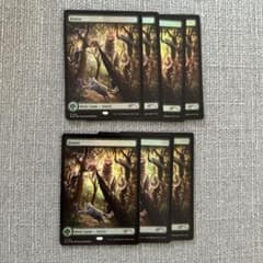 MTG SLD 森 Forest 基本土地 猫 - メルカリ