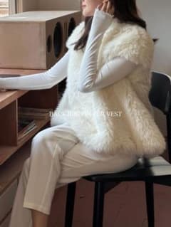 ⭐︎大人気⭐︎バースデーバッシュ ファーベスト - メルカリ