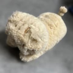 하핀즈 후쿠 후쿠 냥코 콧로 냥 봉제 인형