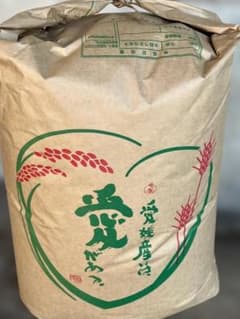令和7年産》愛媛産キヌヒカリ玄米30Kg - メルカリ