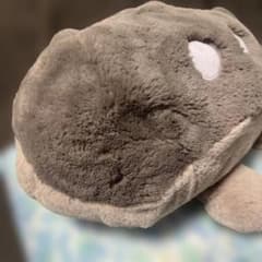 ポケモンセンター限定 ドオー ふわふわ抱きぬいぐるみのサムネイル
