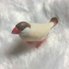 シロクマ子様専用 ガチャガチャ 文鳥2点まとめ買いのサムネイル