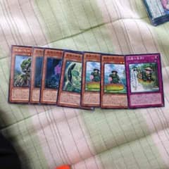 遊戯王 森羅のサムネイル