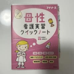 母性看護実習クイックノート 照林社のサムネイル