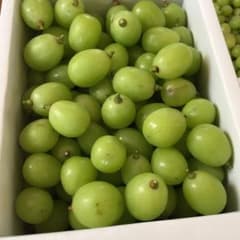 山形県産　シャインマスカット　2kg 訳ありのサムネイル