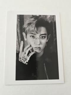 チャニョル EXO LOTTO 台湾盤限定 ポラロイド風フォトカード - メルカリ