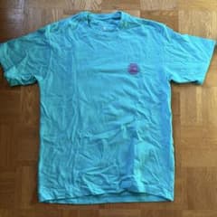 THE NORTH FACE ターコイズ Tシャツのサムネイル