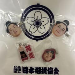 阿炎 相撲 グッズ 4点セット