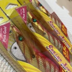 エギ　エギング　釣りのサムネイル