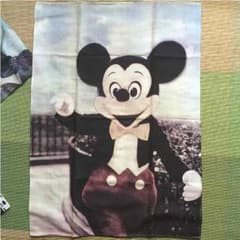 mickey大好きちゃんさん専用！のサムネイル