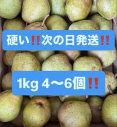 山形県産　摘果ラフランス　10キロ
