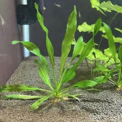 m53362620002_1.jpg?1748616637