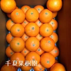 nana様 専用  紅まどんな Mサイズ 5キロのサムネイル