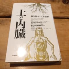 土と内臓　綺麗な状態ですのサムネイル