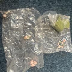 トレメインの肖像のサムネイル