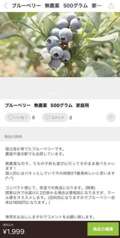 ブルーベリー    asahiro228様専用のサムネイル