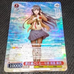 ヴァイスシュヴァルツ 青ブタ 君と過ごした一年間 桜島 麻衣 - メルカリ