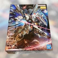 MG 1/100 프리덤 건담 Ver.2.0