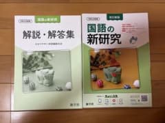 令和6年度用 国語の新研究のサムネイル