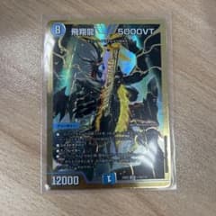 飛翔龍5000VT 金bのサムネイル