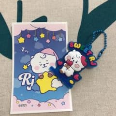 BTS BT21  ラバーマスコット RJのサムネイル