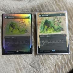 mtg 日本語 発芽の実習 ボーダーレス 2枚セット(うち1枚foil) - メルカリ