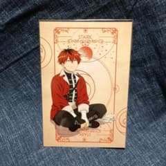 Funeral Frieren Stark Postcard