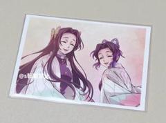 鬼滅の刃 立志編 ブロマイド くじ 胡蝶姉妹 まとめ売り 鬼滅の刃 立志編 ブロマイド くじ 胡蝶姉妹 まとめ売り 鬼滅の刃