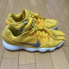 ハイパーダンク イエロー サイン シーホース三河 森川 正明のサムネイル