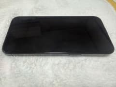Apple iPhone 15 pro max 256GB 본체