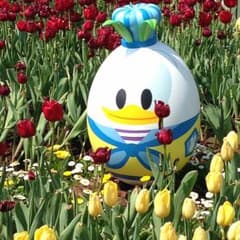 杉様専用のサムネイル