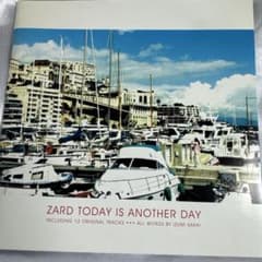 名盤】ZARD / TODAY IS ANOTHER DAY / 坂井泉水 / - メルカリ