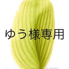 ゆう様専用 返金分のサムネイル
